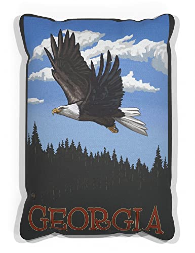 Georgia Eagle Soaring Forest Canvas Throw Pillow for Couch or Sofa at Home & Office from Travel Artwork by Artist Paul A. Lanquist 13" x 19".