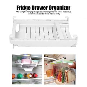 Ziplock Bag Hanging Storage Rail Rack, Fridge Shelf Holder Clip Sliding Rail Tray Save Space for Fridge