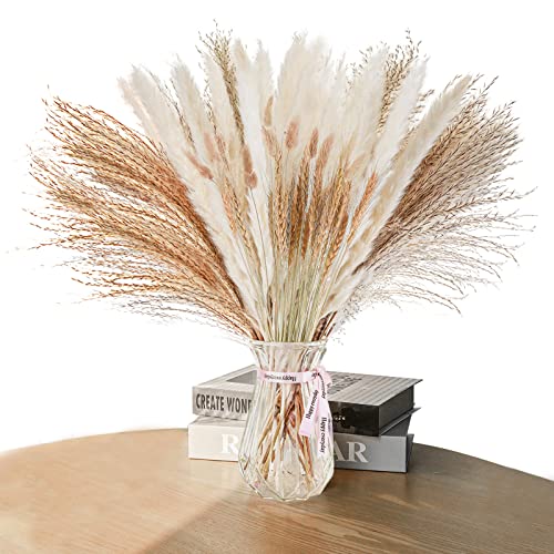 Natural Dried Pampas Grass Decor: 80 Pcs 17" Small Fluffy White Pampas Stems & Beige Reed Grass & Dry Wheat Bundle & Bunny Tail Grass Pampas Bouquet