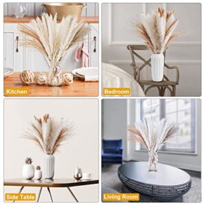 Natural Dried Pampas Grass Decor: 80 Pcs 17" Small Fluffy White Pampas Stems & Beige Reed Grass & Dry Wheat Bundle & Bunny Tail Grass Pampas Bouquet