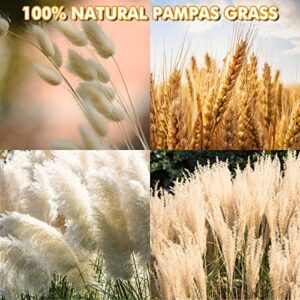 Natural Dried Pampas Grass Decor: 80 Pcs 17" Small Fluffy White Pampas Stems & Beige Reed Grass & Dry Wheat Bundle & Bunny Tail Grass Pampas Bouquet