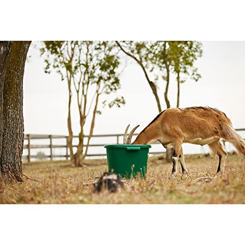 Farm Innovators HT-200 16 Gallon Plastic Heated Livestock Pet Farm Animal Water Bucket Tub with Hidden De-Icer Heating Element, Green (2 Pack)