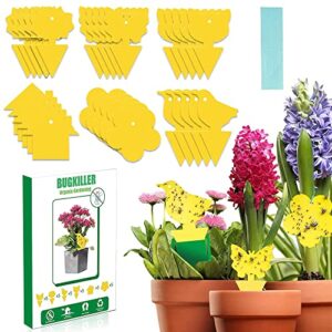 bugkiller 30pcs yellow fruit fly traps for indoors, fungus gnats sticky traps for plants, gnat traps for house indoor, used for mosquitoes, whiteflies, thrips, leaf miners...(non-toxic, dual sided)