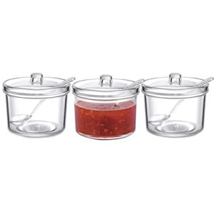 Acrylic Set of 3 Condiment Container Seasoning Box Spice Container with Lids and Spoons for Kithchen Gourmet Organizer for Home