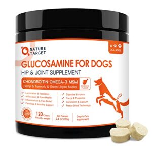 glucosamine for dogs, hip and joint supplement for dogs with glucosamine chondroitin msm, hyaluronic acid, turmeric curcumin for joint pain relief and inflammation, joint health|180 tablets