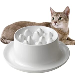 raised slow feeder cat bowl, fish pool design elevated slow feeder dog bowls, fun interactive bloat stop cat slow feeder dry food, reduces neck burden slow down eating anti vomiting non-slip no spill