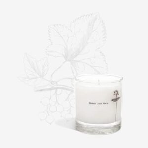 Maison Louis Marie - Antidris Cassis Natural Soy Wax Candle | Luxury Clean Beauty + Non-Toxic Fragrance (8.5 oz | 240 g)