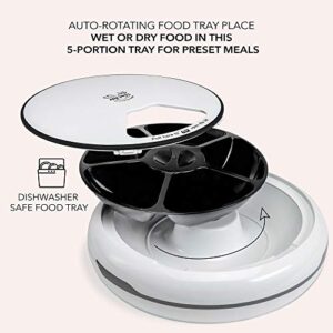 Arf Pets Automatic Pet Feeder, 5 Meal Food Dispenser for Dogs, Cats & Small Animals w/Programmable Timer, Dishwasher-Safe Tray Feeds Wet or Dry Food - (Serves 4 Meals Per Day) Adopter Included