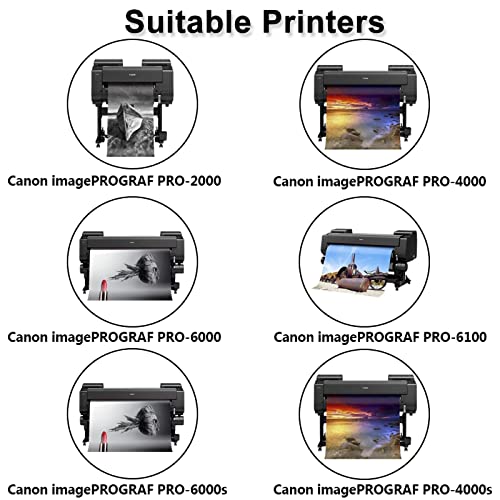 Primer Ink PFI-1700 Compatible Ink Cartridge Replacement for Canon PFI-1700 for imagePROGRAF Pro2000,2100 Pro 4000s,4100,6000s,6100,6100S,4100S Printers (700ML Photo Black Pigment)