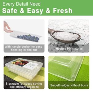 SILIVO 6 Pack Produce Saver Refrigerator Organizer Bins for Fruits and Vegetables- 3 Pack 1.5L + 3 Pack 2.5L