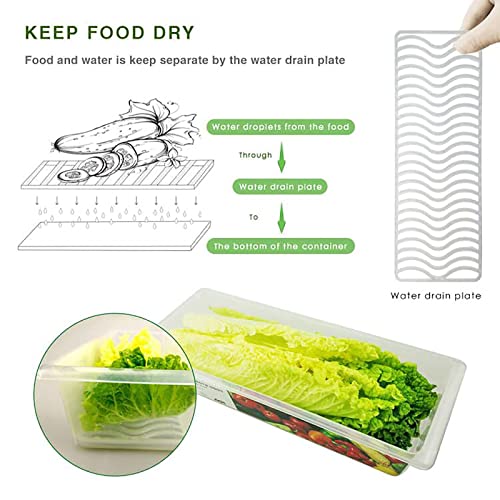 SILIVO 6 Pack Produce Saver Refrigerator Organizer Bins for Fruits and Vegetables- 3 Pack 1.5L + 3 Pack 2.5L