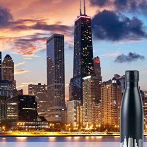 Chicago City Skyline Gifts, Chicago Gifts for Chicago Lovers, Skyline Map 17oz/500ml Stainless Steel Insulated Water Bottle, Perfect for Birthday & Christmas