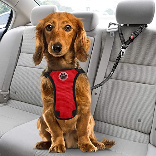 SlowTon Dog Seat Belt, 2 Pack Pet Car Seatbelt with Elastic Bungee Buffer, 2 in 1 Adjustable Headrest Restraint Reflective Puppy Safety Harness (Black-Dual Use)