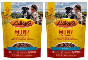 zuke's mini naturals dog training treats, salmon recipe, soft mini dog treats with vitamins & minerals, made for all breed (16 ounce (pack of 2))
