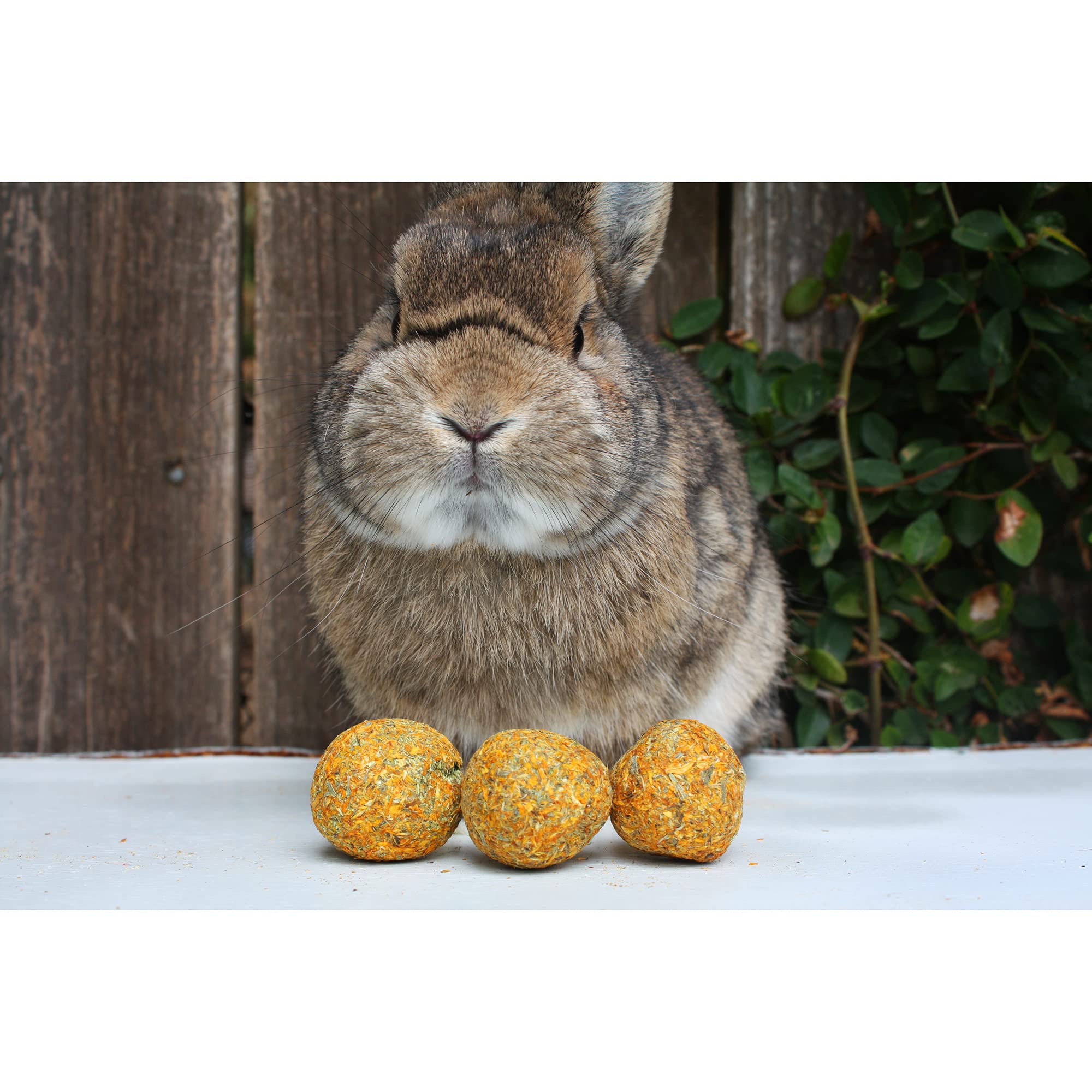 Munchers Marigold & Timothy Chew Balls - Healthy Natural Hay & Flower Chew Treat - Guinea Pigs, Hamsters, Rabbits, Degus, Prairie Dogs, Chinchillas, Squirrels, Opossums, Rats, Gerbils & Small Pets