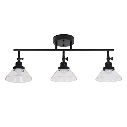 Catalina 23" Classic 3-Light Integrated LED Track Light with Adjustable Clear Glass Shades, Black