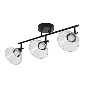 Catalina 23" Classic 3-Light Integrated LED Track Light with Adjustable Clear Glass Shades, Black