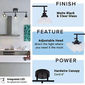 Catalina 23" Classic 3-Light Integrated LED Track Light with Adjustable Clear Glass Shades, Black