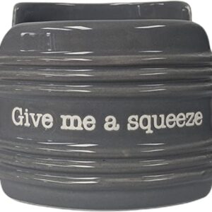 Mud Pie Circa Gray Squeeze Sponge Holder, 3" x 3"