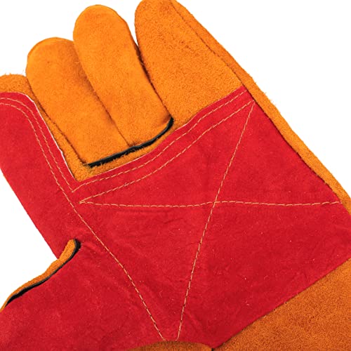 Alfie Pet - Isabel Animal Handling Protection Gloves for Cat, Dog, Bird, Snake, Parrot and Lizard