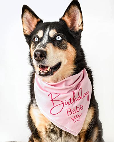 Dog Birthday Bandana for Large Dog – 23 x 23 in, Large, Embroidered Birthday Girl Dog Bandana for Dogs with Stitched Edges & Cotton Drawstring Bag – Dog Birthday Gifts & Dog Clothes by Kendall Wags