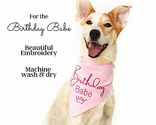 Dog Birthday Bandana for Large Dog – 23 x 23 in, Large, Embroidered Birthday Girl Dog Bandana for Dogs with Stitched Edges & Cotton Drawstring Bag – Dog Birthday Gifts & Dog Clothes by Kendall Wags