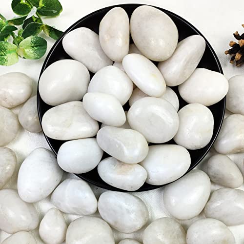 YISZM 5lbs White River Rocks, 1-2 Inch Natural Pebbles for Indoor Plants, High Polished Decorative Stones Vase Filler Fish Tank Aquariums Landscaping Garden Outdoor and Indoor DIY