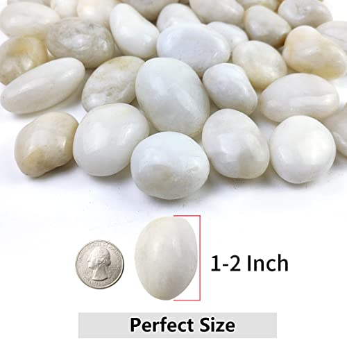 YISZM 5lbs White River Rocks, 1-2 Inch Natural Pebbles for Indoor Plants, High Polished Decorative Stones Vase Filler Fish Tank Aquariums Landscaping Garden Outdoor and Indoor DIY