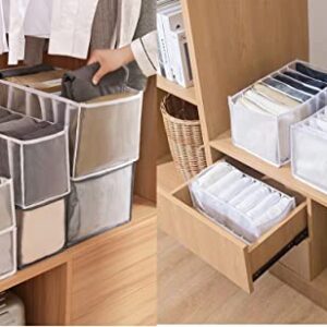 Domika 5pcs Wardrobe Clothes Organizer, Foldable Visible Closet Drawer Grid Storage Box , Portable Washable Storage Containers with Multiple Layers for Leggings, Jeans, T-shirts, Skirts (5PCS Set, White)