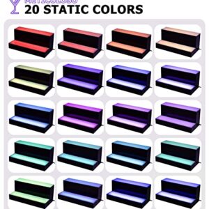 LED Lighted Liquor Bottle Display Shelf 24 inch 2 Step with LED Coaster for Home Commercial Bar, Acrylic Illuminated Bar Shelf with Remote,20 Static Colors, 22 Dynamic Modes (2 Step 24 inch)