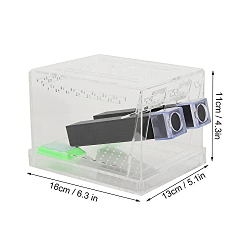 Acrylic Cricket Keeper, Ventilated Cricket Cage Removable Lid Cricket Enclosure with Feces Layer & Tubes for Observation of Small Pets Breeding (L)