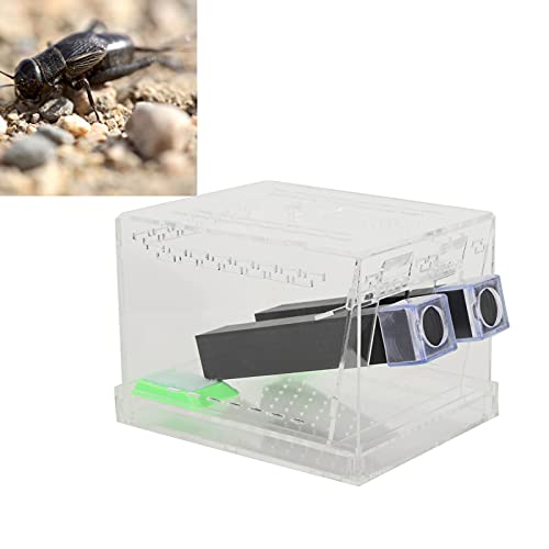 Acrylic Cricket Keeper, Ventilated Cricket Cage Removable Lid Cricket Enclosure with Feces Layer & Tubes for Observation of Small Pets Breeding (L)