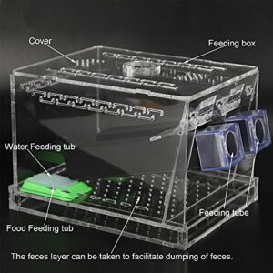 Acrylic Cricket Keeper, Ventilated Cricket Cage Removable Lid Cricket Enclosure with Feces Layer & Tubes for Observation of Small Pets Breeding (L)