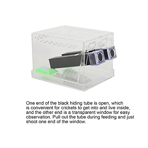 Acrylic Cricket Keeper, Ventilated Cricket Cage Removable Lid Cricket Enclosure with Feces Layer & Tubes for Observation of Small Pets Breeding (L)