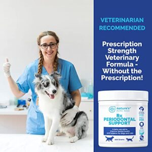 Rx PERIODONTAL Support-Dental Care for Dogs and Cats. Eliminates Bad Breath, Plaque, and Tartar. Promotes Healthy Teeth and Gums. Extra Large, 200 Grams.