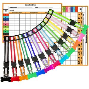 smxxo puppy collars for litter,super soft nylon whelping puppy id collars,adjustable 12 colors reflective collars set,with 2 record keeping charts,pet supplies,accessorise