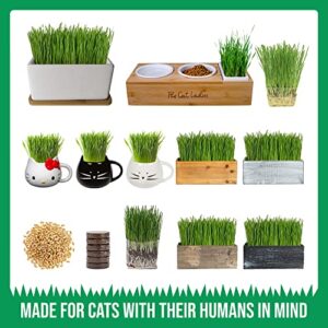 The Cat Ladies Organic Cat Grass Growing kit with Organic Seed Mix, Soil and Ceramic Planter with Bamboo Tray. Natural Hairball Control and Remedy for Cats