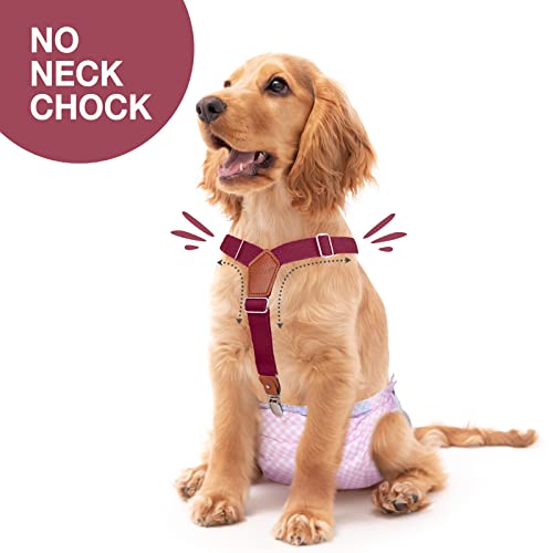 Pet Soft Dog Suspenders 2 Pieces Female Dog Diaper Suspenders for Dogs Diaper Keeper Suspender for Dog Skirt, Dog Dress (Brown & Burgundy, M/L)