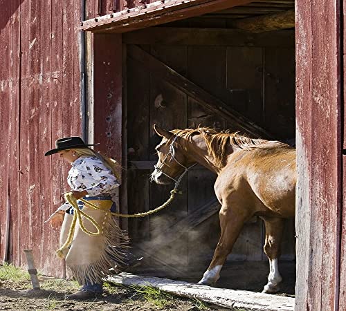 AOLAMIGOD Wall Mount Horse Tie Ring, Cross Tie Rings for Horses, 2 inch Tie Ring Plate Zinc Plated 2 Pack