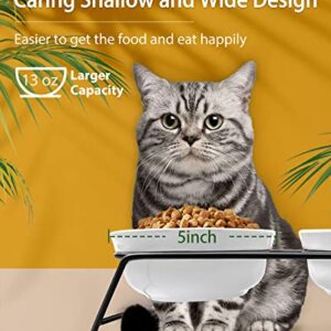 Cat Bowls, Upgraded 13 oz Ceramic Elevated Cat Food Bowls for Food and Water, Raised 2 Cat Dishes with Stainless Steel Stand Non-Slip and Anti-Rust, for Indoor Cats and Small Dog Bowl, Dishwasher Safe
