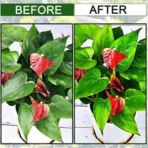 Leopong Plants Cleaning Wipes for Leaf Shine, Clean and Photosynthesis, Leaf Cleaner for House Plants Outdoor Plants (80 Wipes)