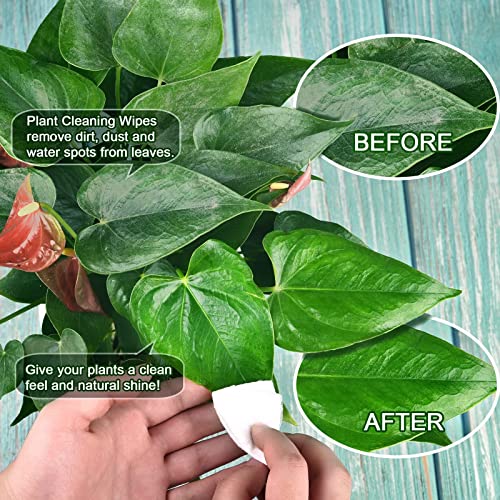 Leopong Plants Cleaning Wipes for Leaf Shine, Clean and Photosynthesis, Leaf Cleaner for House Plants Outdoor Plants (80 Wipes)