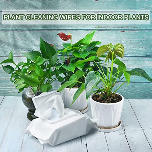 Leopong Plants Cleaning Wipes for Leaf Shine, Clean and Photosynthesis, Leaf Cleaner for House Plants Outdoor Plants (80 Wipes)