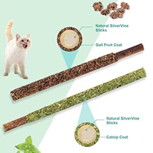 Potaroma 12Pcs Natural Silvervine Sticks Catnip Sticks, Catmint Silvervine Blend, Catnip Toys for Kittens Teeth Cleaning, Matatabi Dental Care Cat Treat Toys, Edible Kitty Toys for Cats Lick