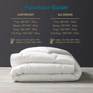 Feather Down Comforter Queen Size, All Seasons Duvet Insert, 100% Egyptian Cotton Fabric, Ultra-Soft Premium 750 Fill Power Feathers/Down Blend Full/Queen Bed Comforter, Ivory White, 90x90