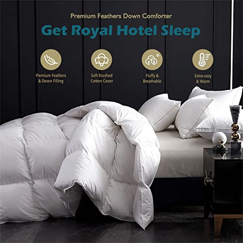 Feather Down Comforter Queen Size, All Seasons Duvet Insert, 100% Egyptian Cotton Fabric, Ultra-Soft Premium 750 Fill Power Feathers/Down Blend Full/Queen Bed Comforter, Ivory White, 90x90