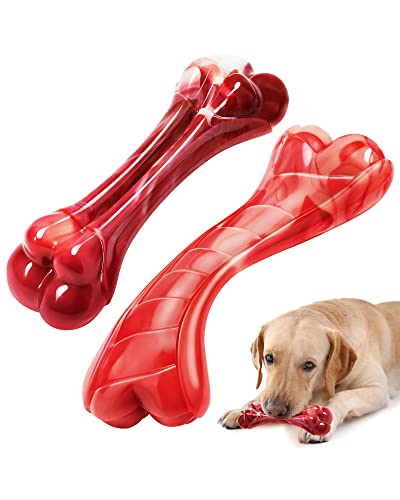 GEE BON 2 Pack Indestructible Dog Toys for Aggressive Chewers - Tough Dog Chew Toys for Aggressive Chewers Large Breed, Nylon Durable Dog Chew Bones with Bacon & Beef Flavor for Medium and Large Dogs