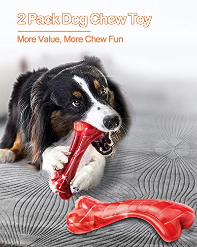 GEE BON 2 Pack Indestructible Dog Toys for Aggressive Chewers - Tough Dog Chew Toys for Aggressive Chewers Large Breed, Nylon Durable Dog Chew Bones with Bacon & Beef Flavor for Medium and Large Dogs