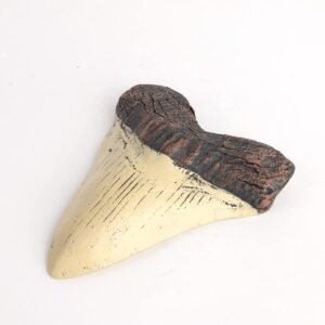 AOAILION Megalodon Shark Tooth Fossil Giant Shark Tooth Megalodon Tooth Resin Replica