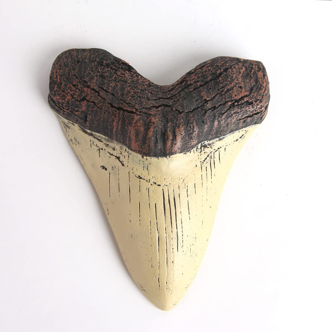 AOAILION Megalodon Shark Tooth Fossil Giant Shark Tooth Megalodon Tooth Resin Replica